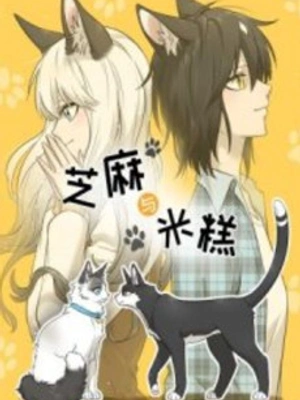 Sesame &amp; Ricecake
