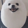 Capítulo 3