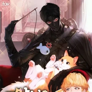El gato está en huega