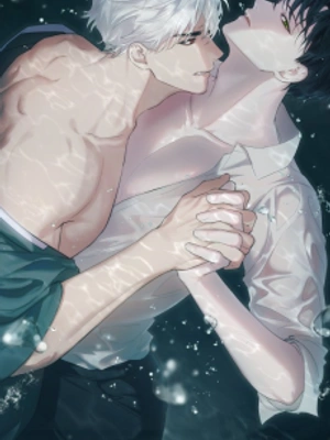 Entre Sueños y Sombras