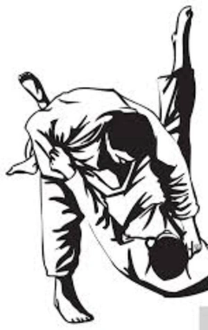 El club de peleas asiáticas