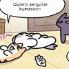 Capítulo 44