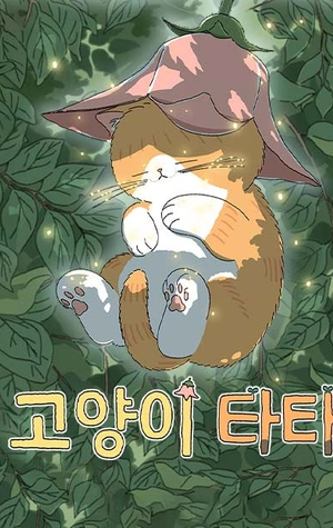 Tata el gato